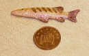 fish lt