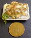 fish new ph in tray