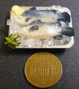 fish o new in tray