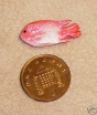 fish w