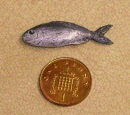 fish zzzz out of stock 1