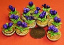 flower dark purple