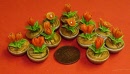 flower orange