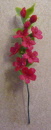 flower strip red