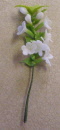 flower strip white