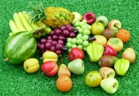 fruit choice