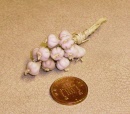 garlic string