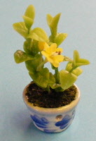 green bush s