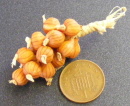 latest brown onions