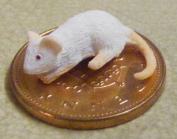 mouse b small