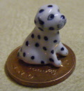new dalmation dog