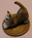 new ginger cat h