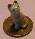 new ginger cat j