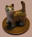 new ginger cat k