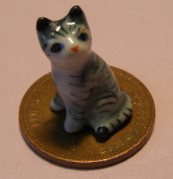 new striped cat m