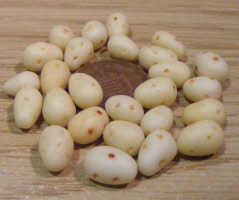potatoes washed