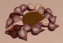 red onion halves new