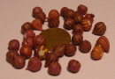 red onions new