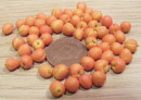 red peaches