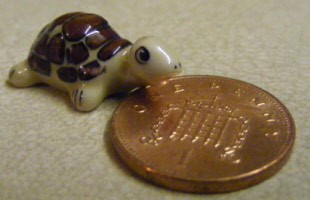 s brown tortoise b