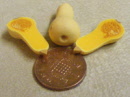 s butternut squash