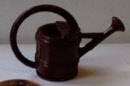 s red watering can