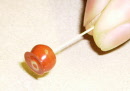 s single toffee apple