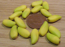 s sweet mangos