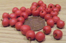 scrumptios apples