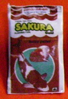 skoi carp food