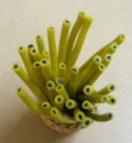 sla8