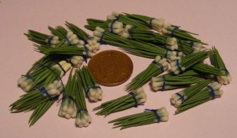 spring onion bunches new