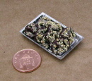 tin choc fancy