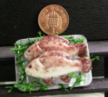 tray a