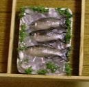 tray c
