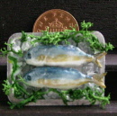 tray h