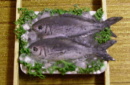 tray i