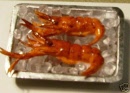 tray zf lobster