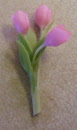 tulip pink no pot