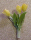 tulip yellow no pot