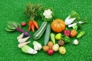veg selection