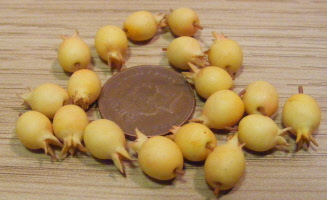 yellow pomegranates